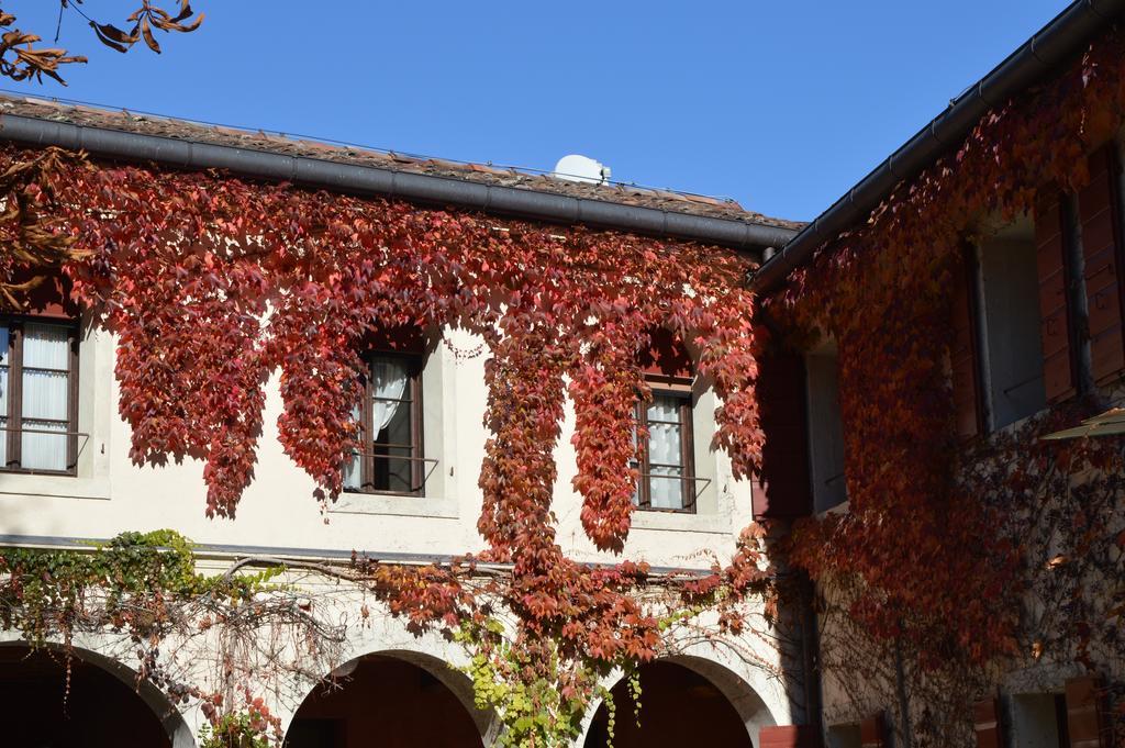 I Giardini Segreti Di Villa Marcello Marinelli Cison di Valmarino Ngoại thất bức ảnh
